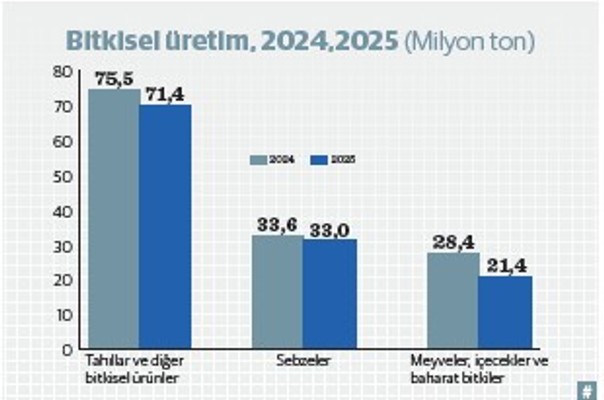 Bitkisel üretimde zorlu yıl: 2025’te soframız küçülecek