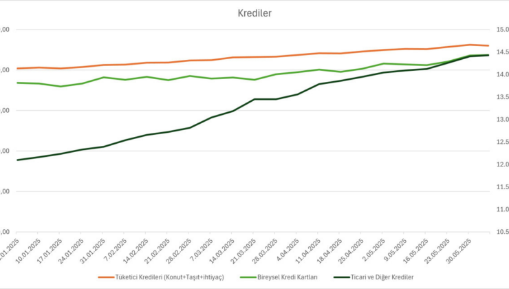 Kredilerde artış sürüyor: Vatandaşın ihtiyacı öne çıkıyor!