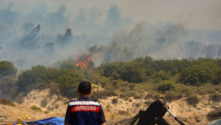 İzmir Foça'da orman yangını: Takviye ekip gönderildi!