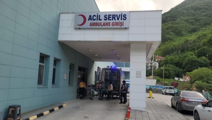 Kastamonu’da akrebin soktuğu kadın hastanelik oldu