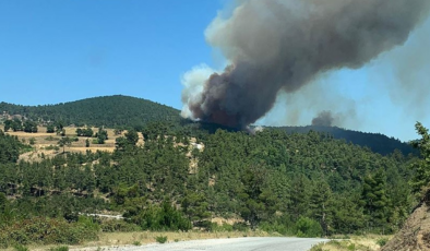 Çanakkale'de çıkan orman yangını kontrol altına alındı