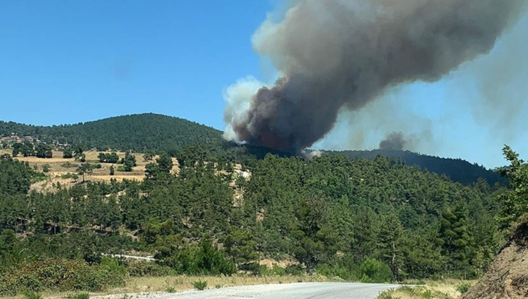 Çanakkale'de çıkan orman yangını kontrol altına alındı