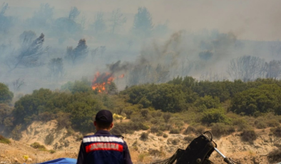 İzmir'in Foça ilçesinde çıkan orman yangını kontrol altına alındı