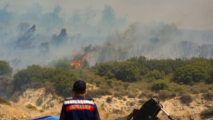 İzmir'in Foça ilçesinde çıkan orman yangını kontrol altına alındı
