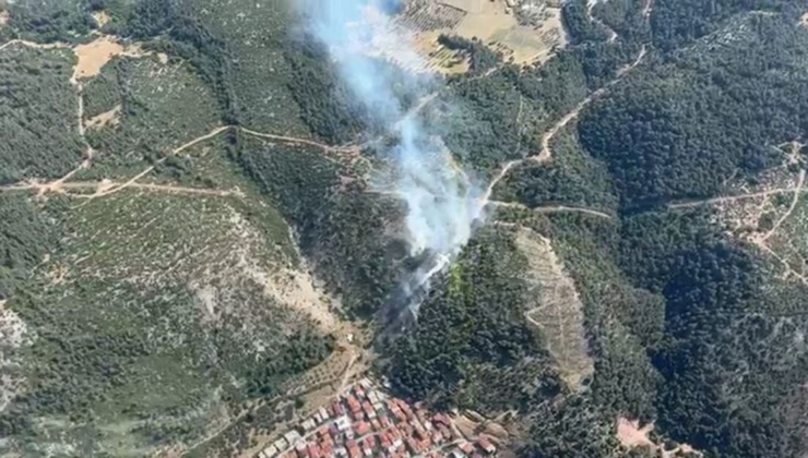 Manisa'da korkutan orman yangını!