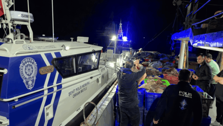 Kaçak avlanan 6 ton kalkan balığı yakalandı