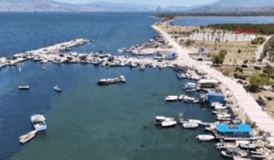 İzmir'de lagünü deniz yosunları kapladı