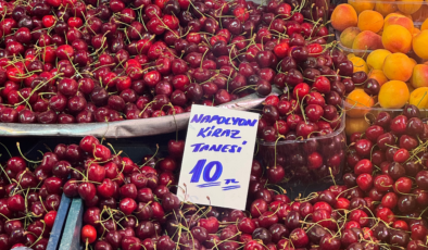 Her şeyi anlatan fotoğraf