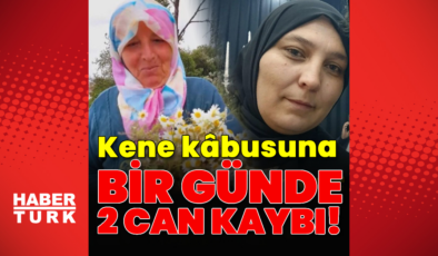Kene bir günde iki can aldı!
