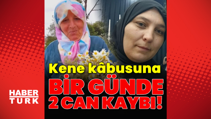 Kene bir günde iki can aldı!