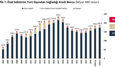 TCMB açıkladı: Özel sektörün yurt dışından sağladığı toplam kredi borcu arttı