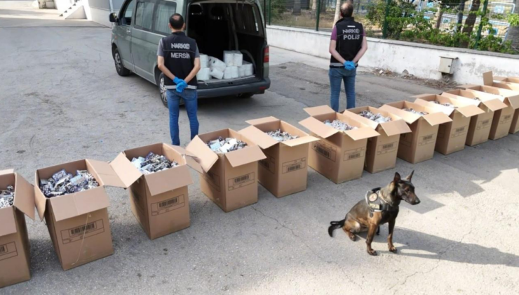 Mersin'de 387 bin 464 uyuşturucu hap ele geçirildi