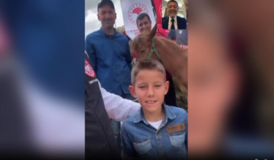 Bakan Yumaklı, yaralı tay Nazlı için yapılan yardım çağrısını karşılıksız bırakmadı