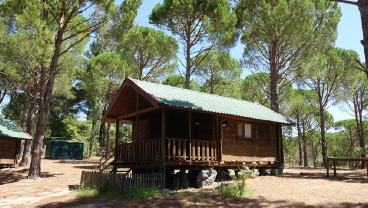 13 ilde 'bungalov dolandırıcılığı' operasyonu: 50 gözaltı