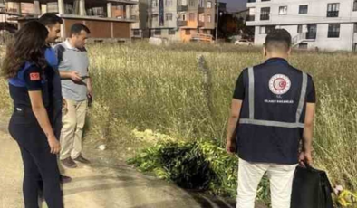 Ticaret Bakanlığı açıkladı: Meyve ve sebzelerin usulüne uygun olmayan imhasına ceza geliyor