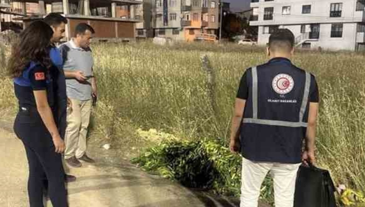 Ticaret Bakanlığı açıkladı: Meyve ve sebzelerin usulüne uygun olmayan imhasına ceza geliyor