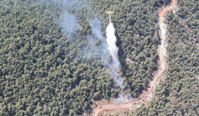 Manisa'da orman yangını: 4 saatte söndürüldü