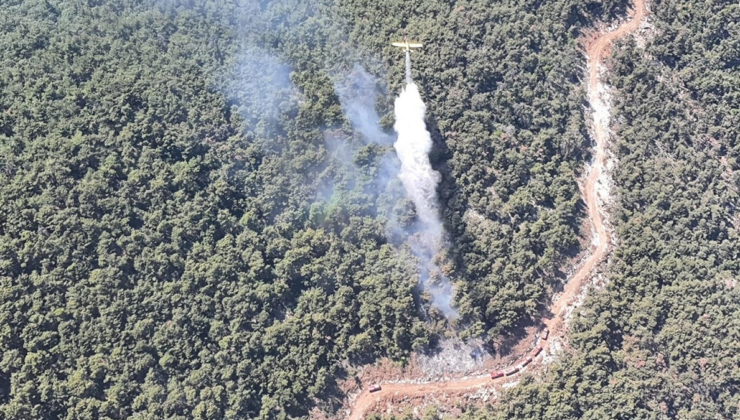 Manisa'da orman yangını: 4 saatte söndürüldü