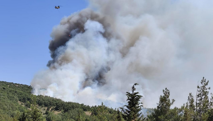 Balıkesir'deki orman yangınına 10 dakika sonra müdahale edildi