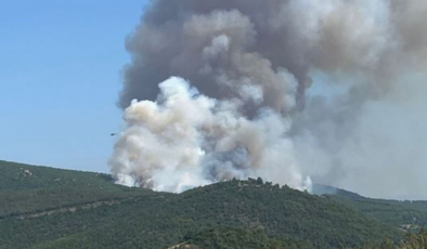 Yangındaki biçerdöver iddiasına 5 gözaltı!