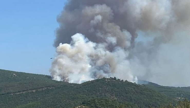 Yangındaki biçerdöver iddiasına 5 gözaltı!