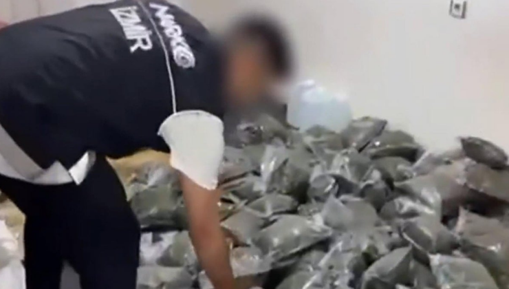 İzmir'de yüz kilodan fazla bonzai ele geçirildi