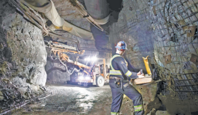 ÇED süreci ve zeytinliklere ince ayar geliyor