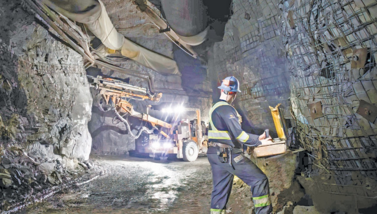 ÇED süreci ve zeytinliklere ince ayar geliyor