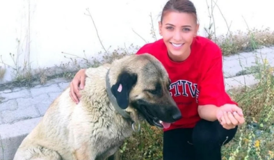 Sokak köpeklerini kurtardığı için 105 bin TL ceza kesilmişti… Cezaya itiraz etti