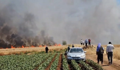 Şanlıurfa'da tarla yangını: 1'i ağır 5 kişi yaralandı