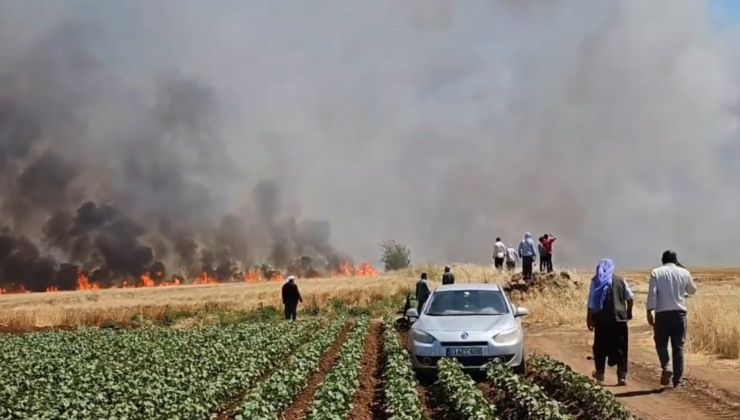 Şanlıurfa'da tarla yangını: 1'i ağır 5 kişi yaralandı