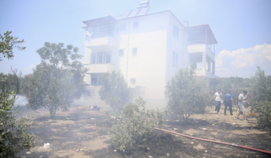 Odunlukta başlayan yangın zeytinliğe sıçradı