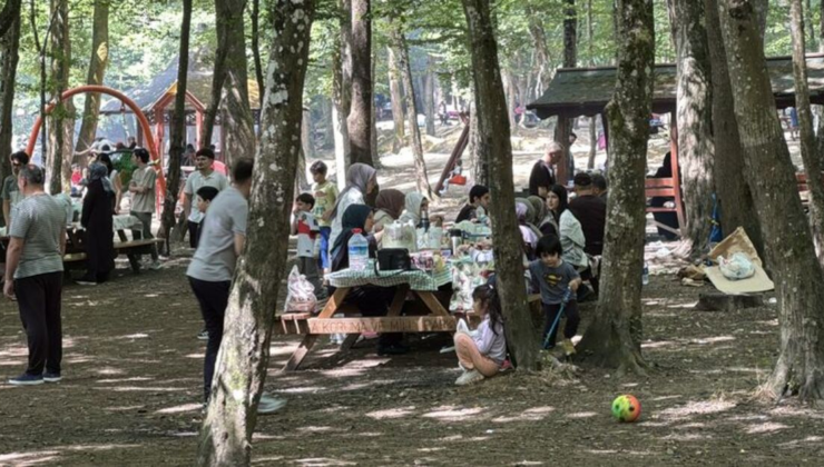 İstanbul Valiliği'nden orman kararı!