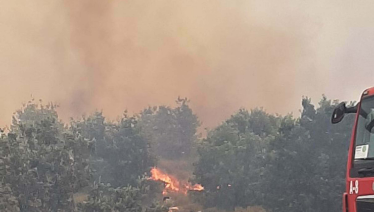Çanakkale'de tarım arazisinde yangın! Müdahale sürüyor