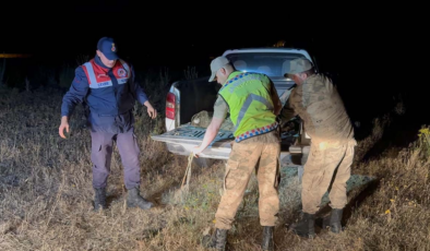 Jandarma Van Gölü'nde harekete geçti:  1 ton 500 kilogram suya bırakıldı