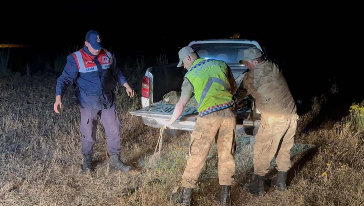 Jandarma Van Gölü'nde harekete geçti:  1 ton 500 kilogram suya bırakıldı