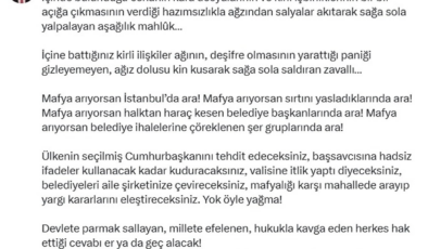 Erdoğan'ın başdanışmanı Oktay Saral'dan CHP'li Ali Mahir Başarır'ı hedef alan sözler