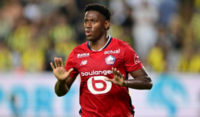 David'de dev rakip!