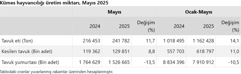 TÜİK açıkladı! Tavuk eti üretimi yükseldi, yumurta üretimi geriledi - Resim : 1