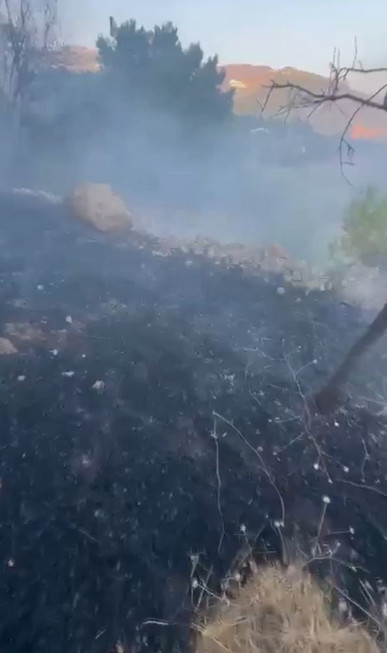 Son dakika...Türkiye yangınlarla mücadele ediyor! Bursa alev kapanına döndü - Resim : 10