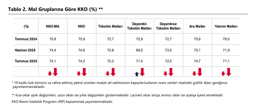 İmalat sanayisinde kapasite kullanımı temmuzda geriledi - Resim : 3