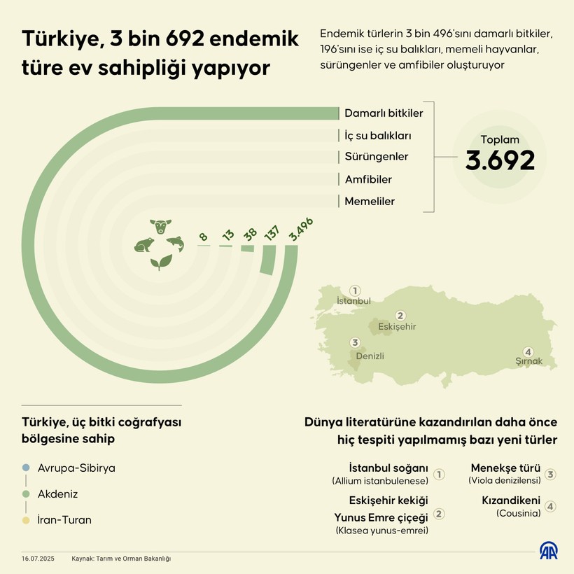 Türkiye'de 3 bin 692 endemik tür tespit edildi: Ulusal biyolojik çeşitlilik verisi 2 milyona dayandı - Resim : 1