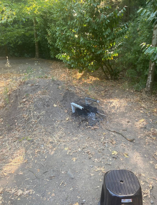 Kocaeli'de yasaklı alanda mangal yapan 58 kişiye ceza - Resim : 1