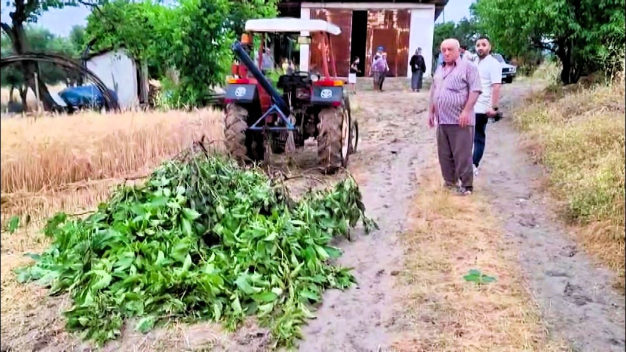 Ekili araziye yıldırım düştü, 8 ton buğday kül oldu - Resim: 2
