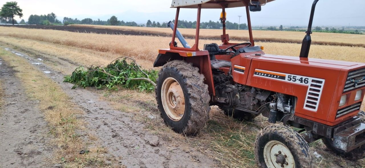 Ekili araziye yıldırım düştü, 8 ton buğday kül oldu - Resim: 3