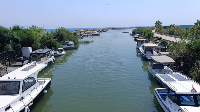 Antalya'da tatilcilere kritik uyarı: Sayıları arttı! Burada yüzenler risk altında - Resim : 4