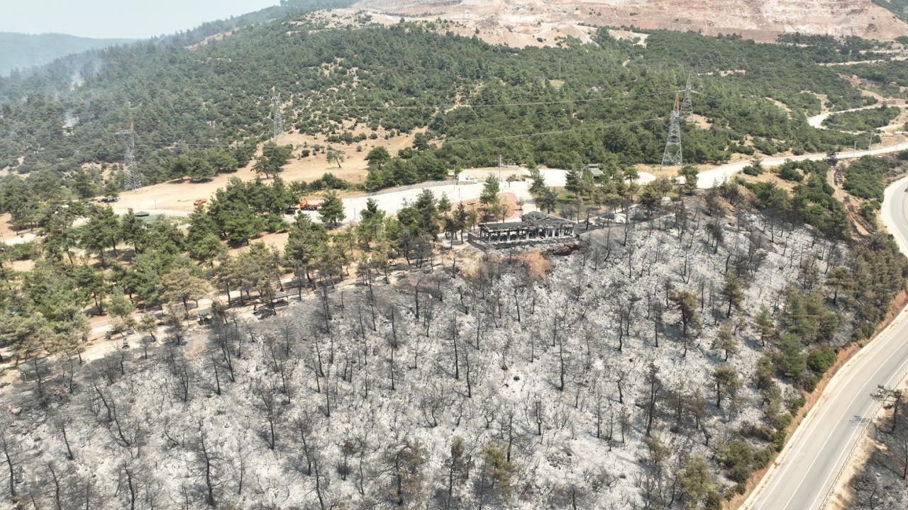 Gürsu’nun ciğerleri yandı: Tarihinin en büyük yangını sonrası yürek yakan görüntüler - Resim: 1