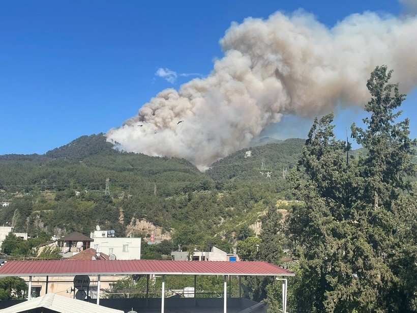 Alevler dinmiyor! Kocaeli, Milas, Hatay, Fethiye... Orman yangınlarıyla amansız mücadele sürüyor - Resim : 3