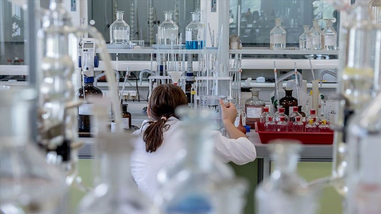 En çok onlar kazandırıyor: 2024’ün en yüksek gelirli meslekleri belli oldu! Hangi bölümler ilk sırada? - Resim: 6