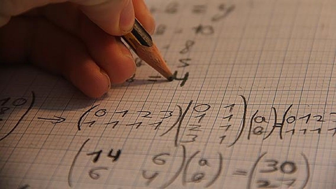 En çok onlar kazandırıyor: 2024’ün en yüksek gelirli meslekleri belli oldu! Hangi bölümler ilk sırada? - Resim: 18
